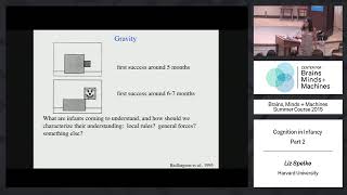 Brains, Minds and Machines Summer Course - MIT - Lec 3 - 2
