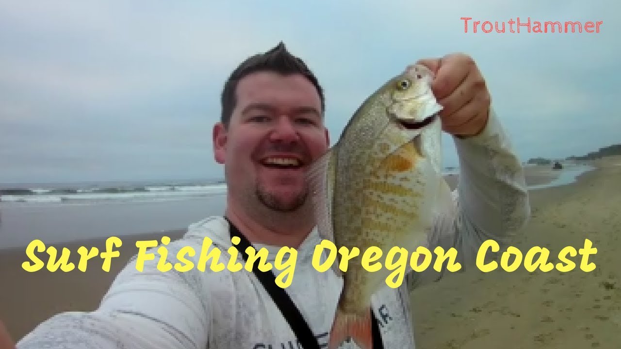 Surf Fishing the Oregon Coast 3 PBs in 1 Trip! YouTube