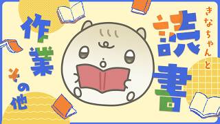 読書・作業 etc.. ┊ﾊﾑｽと 集中 𝑪𝒉𝒊𝒍𝒍 𝒕𝒊𝒎𝒆 📚┊0419