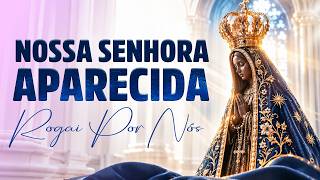 Especial Padroeira do Brasil | Músicas para Rezar com Nossa Senhora Aparecida