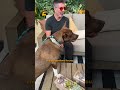 Simon Cowell Takes A Rescue Pittie Around the Set Of America’s Got Talent | The Dodo