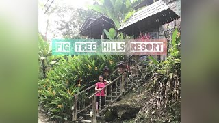 Fig Tree Hills Resort (花果山度假村) | Retreat Resort, Hiking in Sungai Ara, Bayan Lepas, Penang, Malaysia