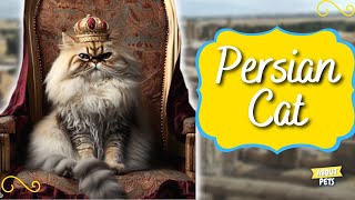 10 Interesting Facts About the Persian Cat