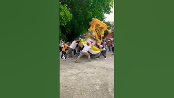 รถจะคว่ำ หรือว่านาคจะร่วงก่อนกัน #บวชนาค #แห่นาค #ประเพณีไทย