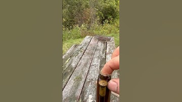 Firing round balls with bare ball loads flintlock shooting #hunting