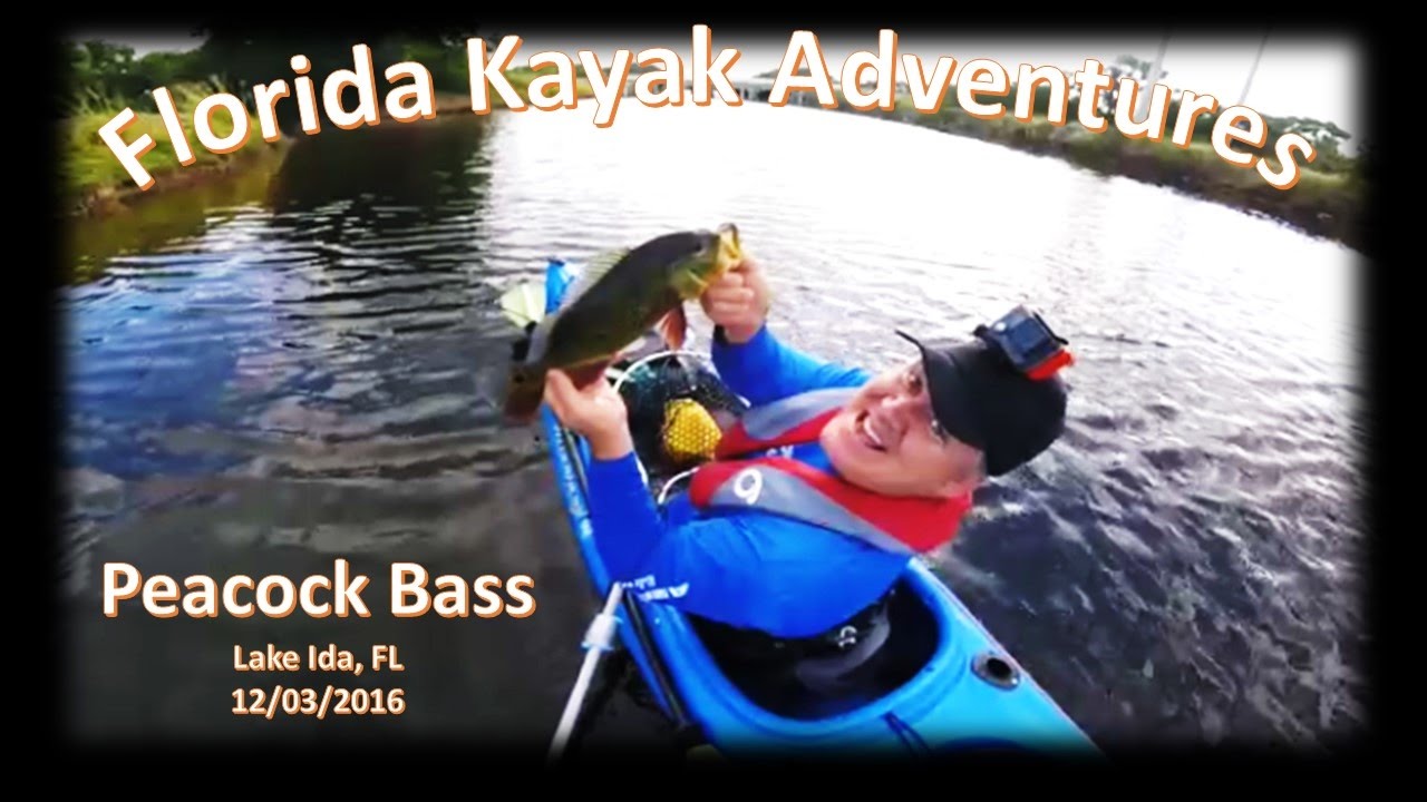 Kayak Fishing Lake Ida, FL for Peacock Bass YouTube