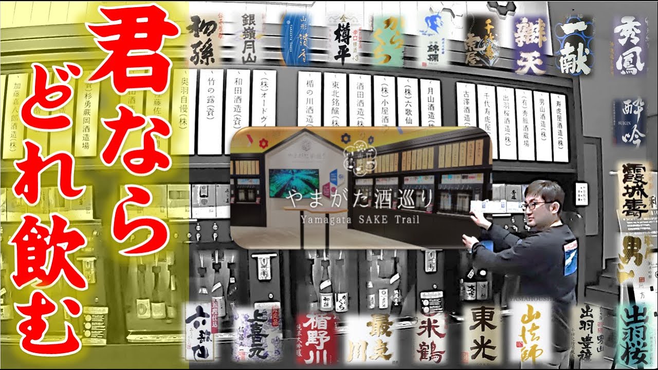 【山形・山形市】やまがた酒巡り Chetto 山形の観光スポット！日本酒とワインの試飲ができます！沢山ありすぎて迷っちゃう！