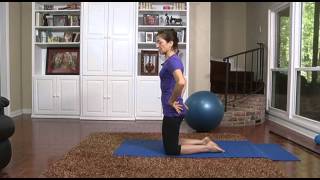 Famous Section 2: Functional Mobility - Hamstring Stretch (Caution Against Overstretching) Wealth