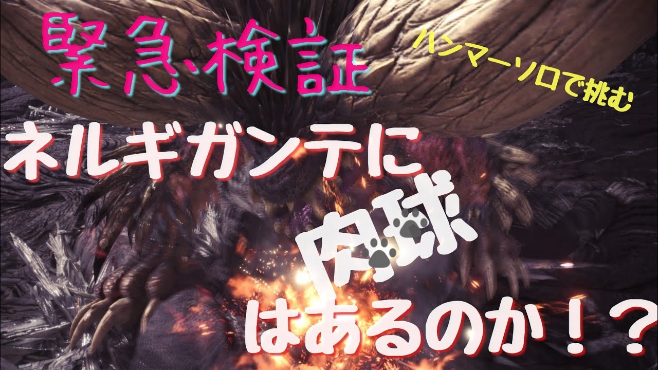Mhw 緊急検証 ネルギガンテに肉球 はあるのか Youtube