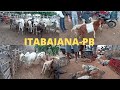 FEIRA DE ANIMAIS DE ITABAIANA-PB  15/08/2021 GADO DE PRIMEIRA QUALIDADE CONFIRA OS PREÇOS