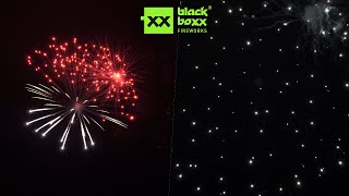 Blackboxx 5 Bomben EMP und Blinkerbombe Platin