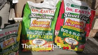#organic #outdoor Cannabis Grow 🍒🔉 9-5-2023 🍒 Flowers Showing 👌🏿👀👉🏿What I Feed Them 💊The Dr.