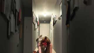 #hippy #weirdkid #therian #therianthropy #redcardinal #quadrobics #notafurry #mtf #transfem #ily