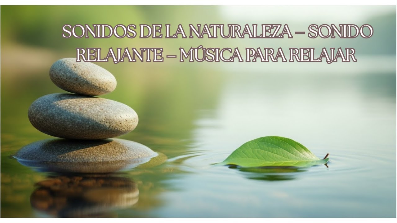SONIDOS DE LA NATURALEZA – SONIDO RELAJANTE – MÚSICA PARA RELAJAR 🎧🌿