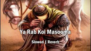 Download Lagu Ya Rab Koi Masooma Slowed and Reverb Hassan sadiq MP3