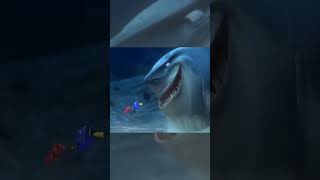 finding nemo 2003 Youre Not Gonna Freak Out Like Did At The Petting Zoo