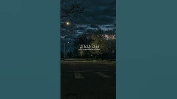 تلك حدود الله  #ياسر_الدوسري  #سورة_البقرة  #تلاوة_قرآن  #القرآن_الكريم  #صوت_الخشوع