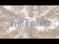 "The Forest" by Olive Graham