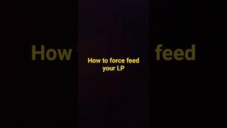 How To Force Feed Your Leopard Gecko