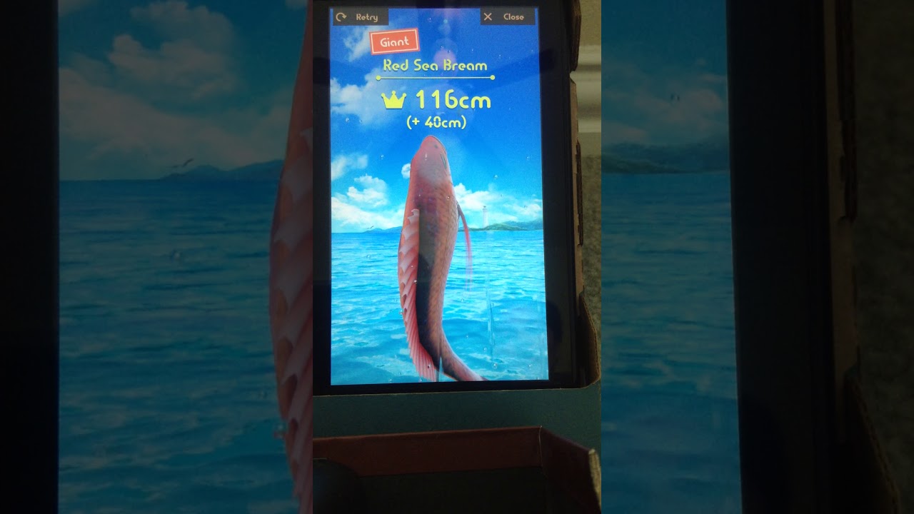 Nintendo Labo Fishing!