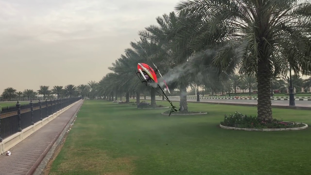Tareq Alsaadi between palm trees gaui nitro طارق ا