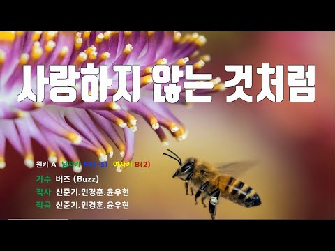 [은성반주기] 사랑하지않는것처럼 - 버즈(Buzz) /MR/가사