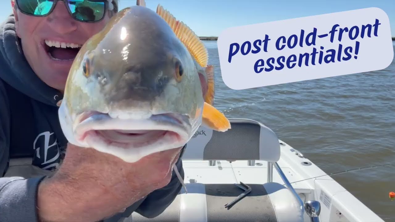 Основные моменты после холодного фронта!