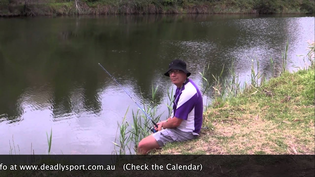 Fishing Competition at Lake Tyers Trust School Holiday action! YouTube