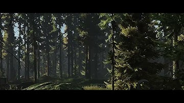 Tarkov flickering issue