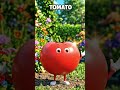 🍅 Main hu Tomato! Lal aur juicy 😍Bachchon ke liye fun learning video #shortstory #shorts