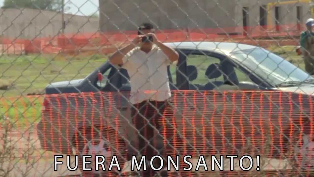 Fuera Monsanto - Perro Verde -