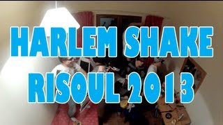 Harlem Shake Risoul 2013