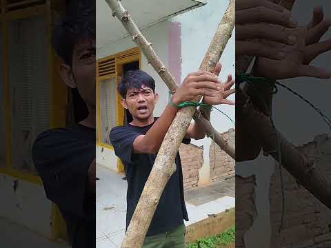 Hiburan Komedi Keseharian Comedy Funny Lucu Ngakak