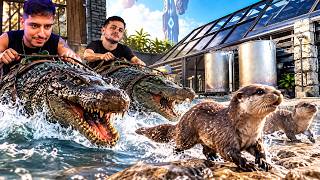 LOUD CORINGA E GABEPEIXE PEGA SEUS CROCODILOS E VAO  ATRAS DE LONTRAS PRA DOMAR