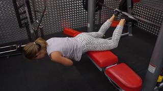 Smith Machine Hamstring Destroyers