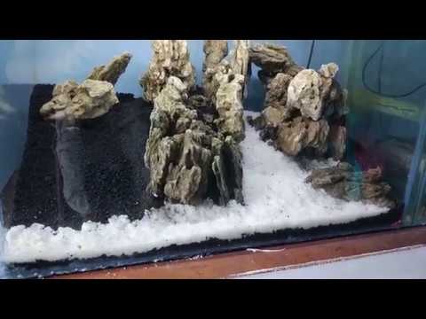 cara-membuat-aquascape-sederhana-bagi-pemula-oleh-nusakoi