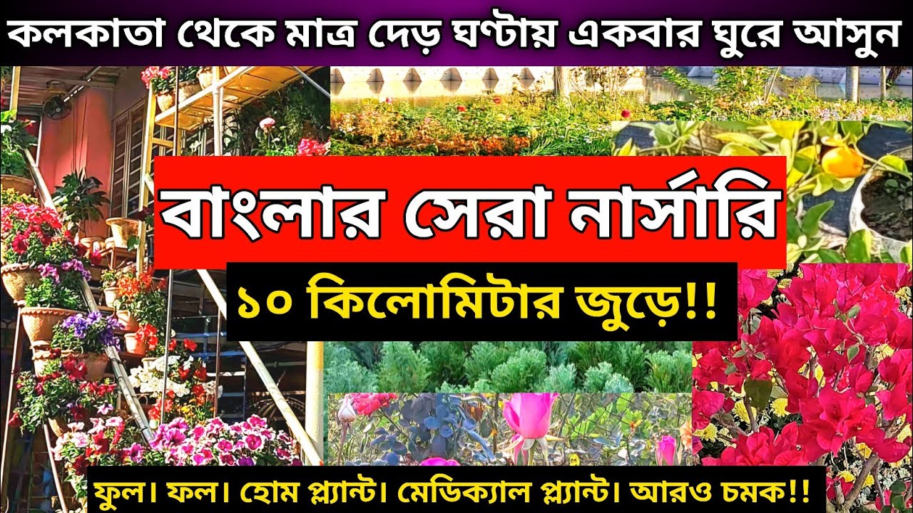 Jirat Nursery🌳🥀| Khamargachi Nursery | Jirat Nursery Visit | Jirat Hooghly
