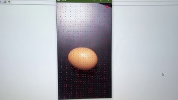 Tracking an egg using block matching (3SS & MAE)