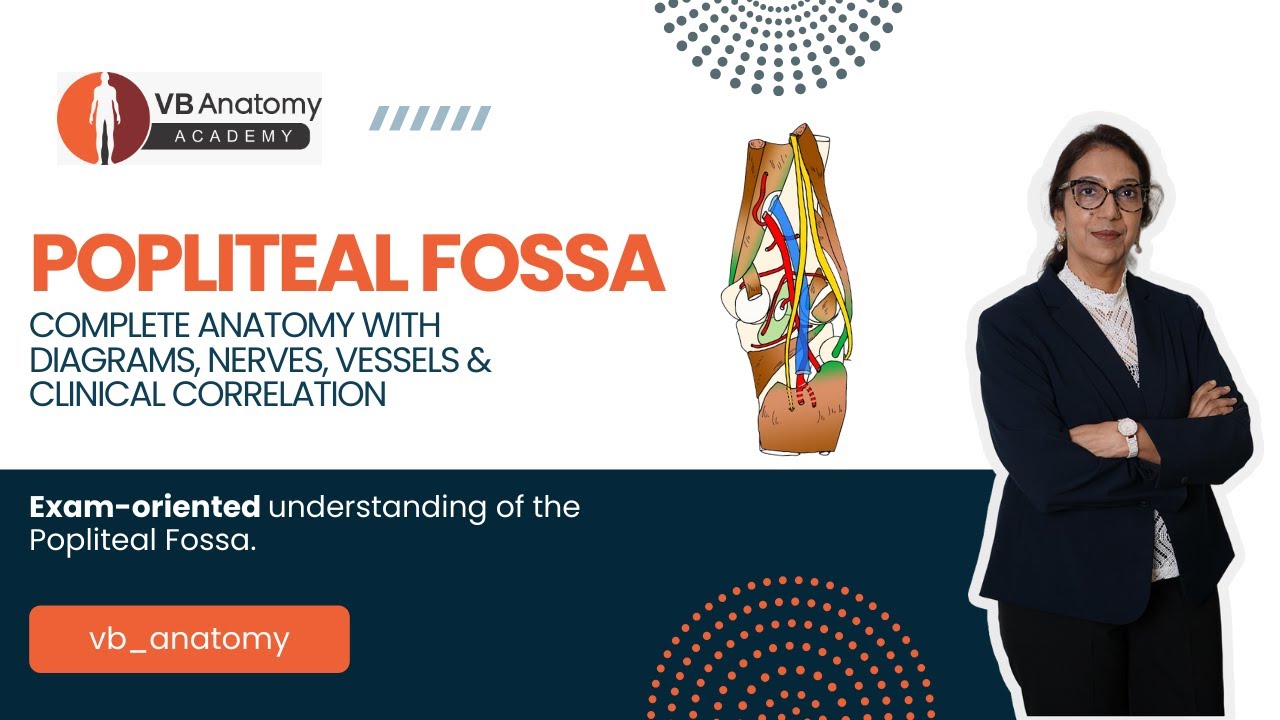 Popliteal Fossa – Complete Anatomy with Diagrams, Nerves, Vessels & Clinical Correlation