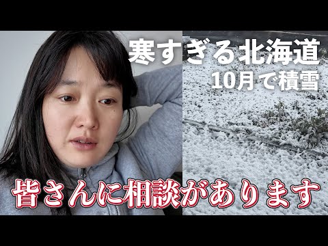 のりふら norifura / のりふら - YouTube