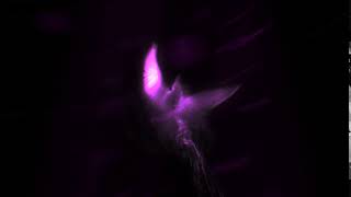 Jammy3112 - Phoenix Reveal Channel Intro