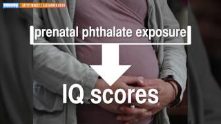 Prenatal Exposure To Common Chemicals Might Lower Childs Iq