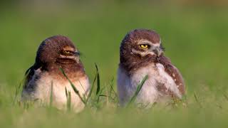 Paseo por San Andres de la Sierra