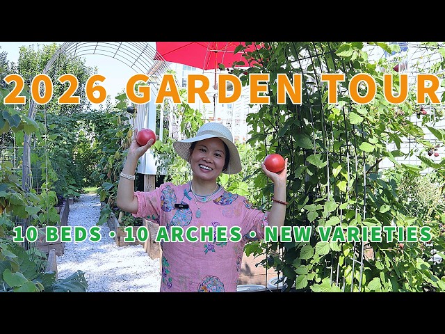 2026菜园升级了！10个拱门+10个菜床，新品种抢先看 2026 Garden Tour: Arched Tunnels, Raised Beds & Fresh New Faces
