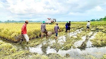 Anh Em Miền Tây Săn Bắt Cá Bắt Chuột Theo Máy Cắt Thấy Mê P.1/NGÃ NĂM TV