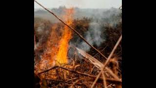 Flagstaff Region Updates Wildfire Protection Plan