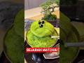 Matcha Viral Ini Ternyata Punya Sejarah Panjang! 😳