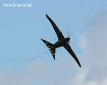 Morphing aircraft mimics a bird