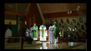 15th Sunday in Ordinary Time:  St Malachy Church