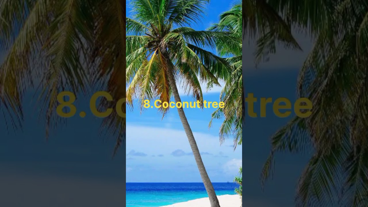 Top 10 sacred tree in hindu religion